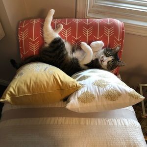 Meet your Posher, Sarah